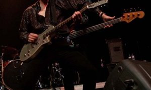 The Fleshtones