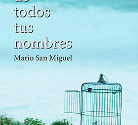 Mario San Miguel : Detrás de todos tus nombres